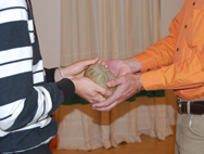 Systemische Aufstellungen